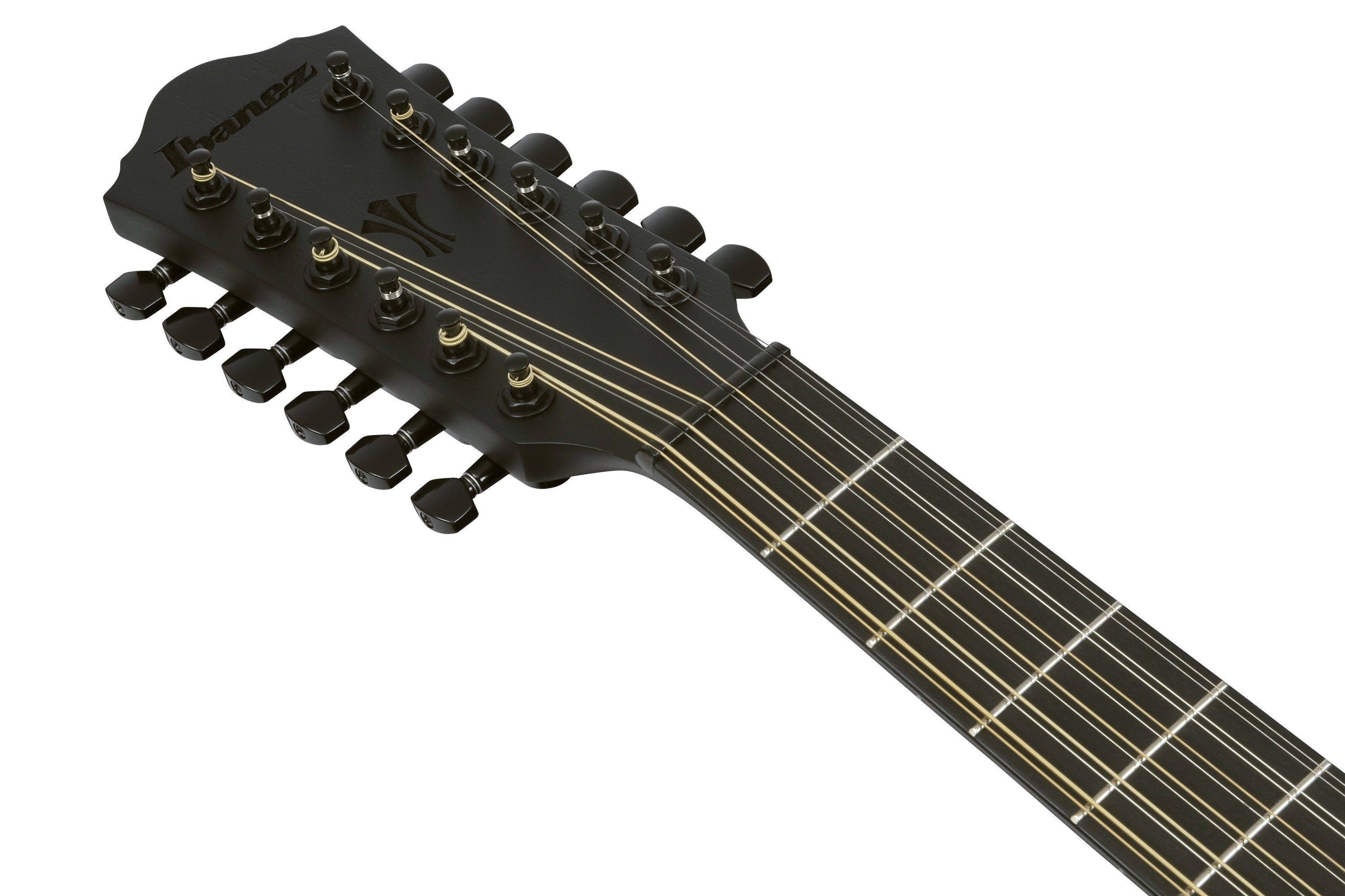 AEG1221-BOT 12-Saiter Westerngitarre